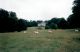 Brynbella rear gardens and meadow.