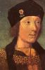 King of England Henry, VII