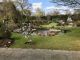 View of garden from memorial to Kenneth David Thrale and Shirley Helen Thrale née Block